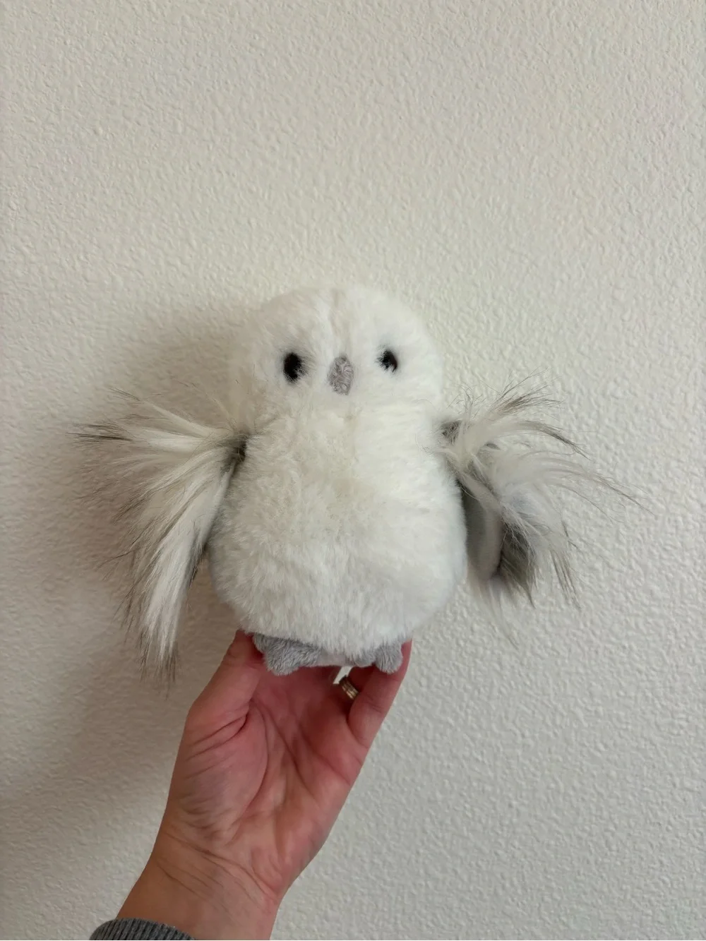 Douglas mini owl